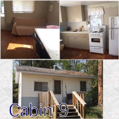 cabin9